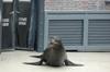 2010-07-01-Sea-World
