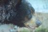 2013-07-27-Oregon-State-Zoo