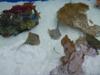 2013-11-10-Point-Defiance-Zoo-and-Aquarium