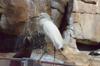 2014-04-08-Sea-World