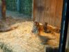 2015-02-14-Point-Defiance-Zoo-and-Aquarium
