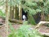 2015-04-12-Northwest-Trek