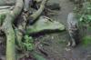 2016-03-26-Oregon-State-Zoo