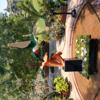 20180812_SLC_LegoGarden