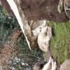 20190202_OregonStateZoo